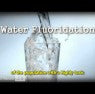 The Fluoride Deception: Pregnancy and Childhood