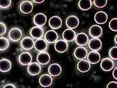 The Health of Your Cells, Their environment