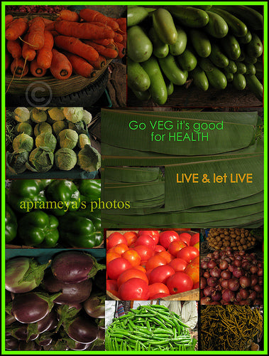 Healthy Pregnancy Diet