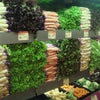 Plant-based Diets May Not Be Enough