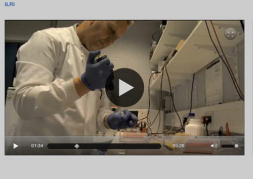 Online Vaccines Documentaries